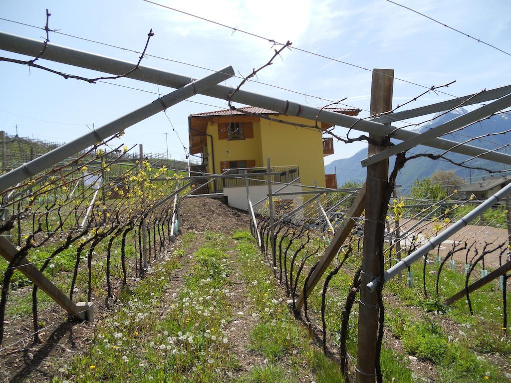 Bed and Breakfast Agritur Al Vigneto Trient Exterior foto