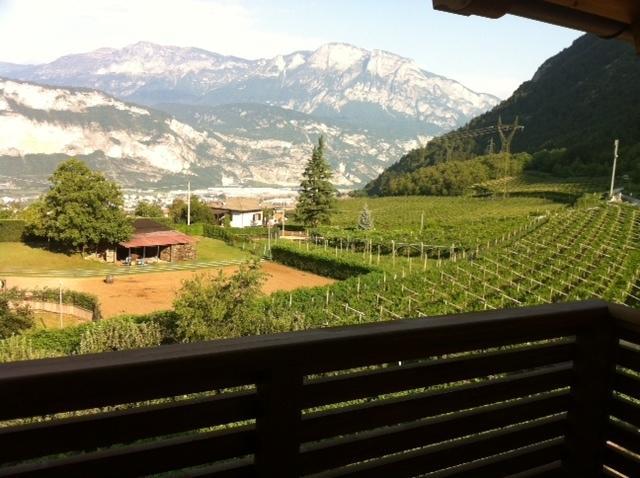 Bed and Breakfast Agritur Al Vigneto Trient Exterior foto